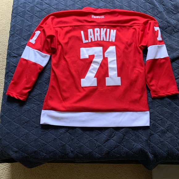 Dylan Larkin Jersey - Picture 2 of 2